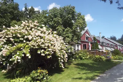 Photo 2 - The Vermont Inn