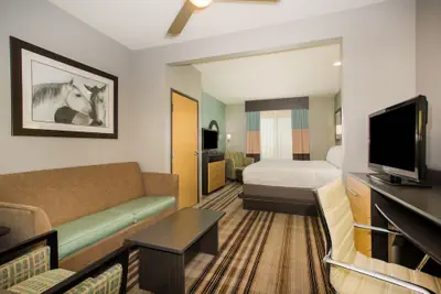 Photo 4 - Holiday Inn Express & Suites Amarillo West by IHG