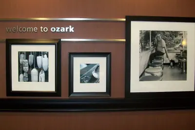 Photo 5 - Hampton Inn Ozark