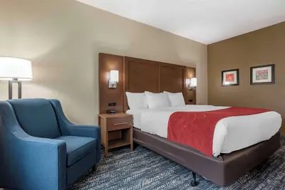 Photo 5 - Comfort Inn & Suites Downtown near University