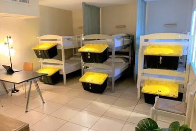 Photo 3 - Bposhtels Hollywood Florida - Hostel