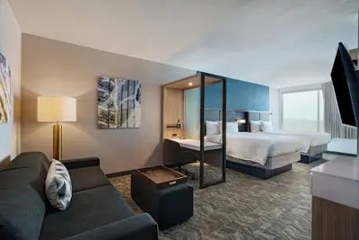 Photo 2 - SpringHill Suites by Marriott Dallas Richardson/University Area
