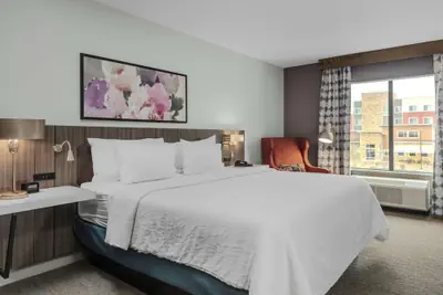 Photo 5 - Hilton Garden Inn Detroit Utica