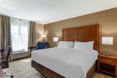 Photo 5 - Comfort Inn & Suites Waller