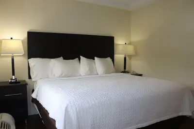 Photo 5 - Curtis Inn & Suites