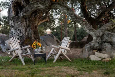 Photo 2 - Apple Tree Inn