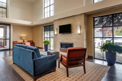 Photo 4 - Comfort Suites Airport - University