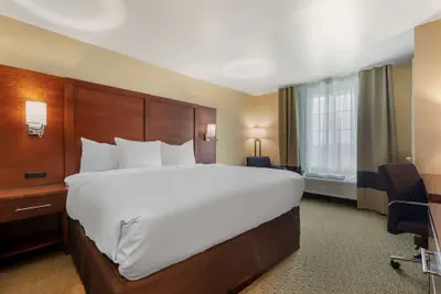 Photo 4 - Comfort Inn & Suites Euless DFW West