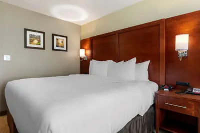 Photo 5 - Comfort Inn & Suites Euless DFW West