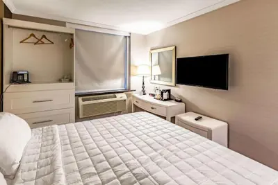 Photo 4 - Umbrella Hotel Brooklyn
