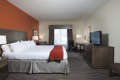 Photo 4 - Holiday Inn Express Hotel & Suites Morgan City Tiger Island by IHG