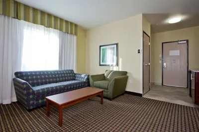 Photo 3 - Holiday Inn Express Hotel & Suites Denver East-Peoria Street by IHG