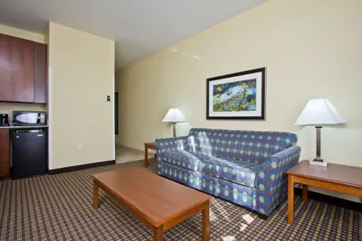 Photo 4 - Holiday Inn Express Hotel & Suites Denver East-Peoria Street by IHG