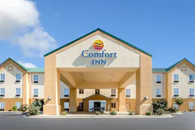 Photo 2 - Comfort Inn Lexington South