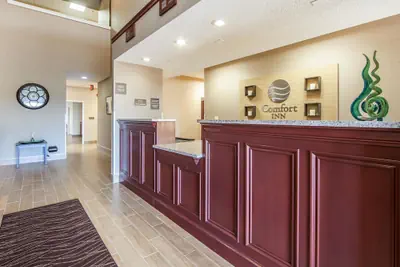 Photo 3 - Comfort Inn Lexington South