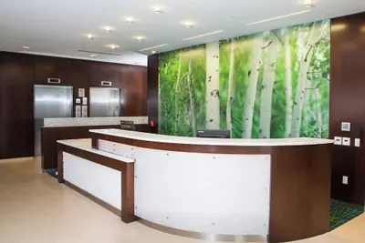 Photo 3 - SpringHill Suites by Marriott Bloomington