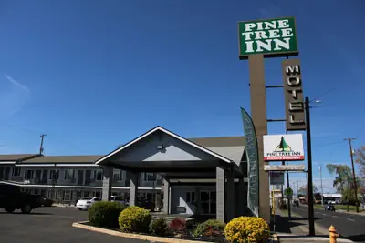 Photo 2 - Pine Tree Inn