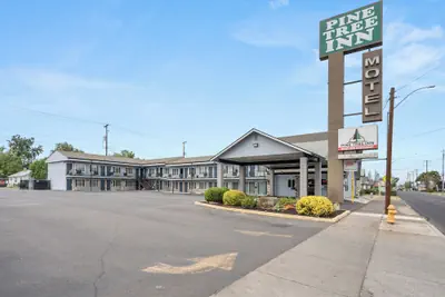 Photo 2 - Pine Tree Inn