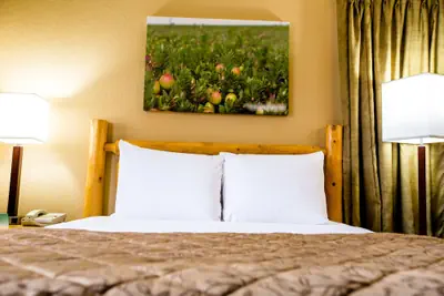 Photo 4 - Cranberry Country Lodge