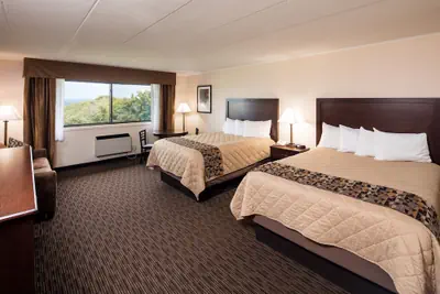 Photo 5 - Chestnut Mountain Resort