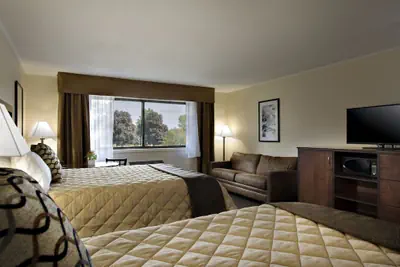 Photo 4 - Chestnut Mountain Resort