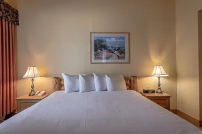 Photo 3 - Cozy Pet-friendly King Studio In Mt. Crested Butte Condo - No Cleaning Fee! by RedAwning