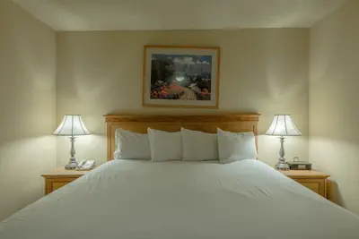 Photo 4 - Grand Lodge Condo In The Heart Of Mt Crested Butte 1 Bedroom Condo - No Cleaning Fee! by RedAwning