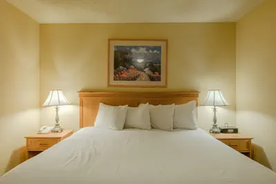 Photo 3 - Grand Lodge Condo In The Heart Of Mt Crested Butte 1 Bedroom Condo - No Cleaning Fee! by RedAwning