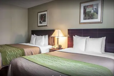Photo 4 - Avon Hotel