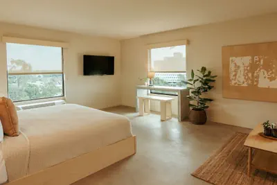 Photo 4 - Brut Hotel