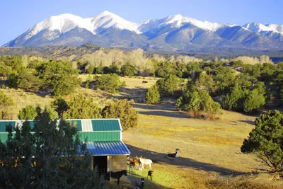 Photo 4 - Mountain Goat Lodge