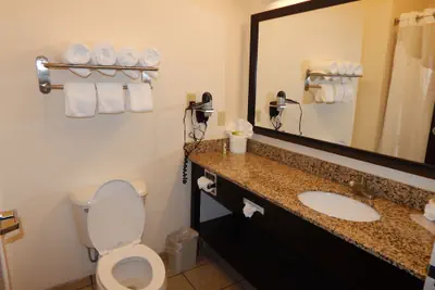 Photo 3 - Holiday Inn Express & Suites Washington - Meadow Lands by IHG