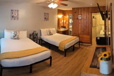 Photo 5 - Trees Motel