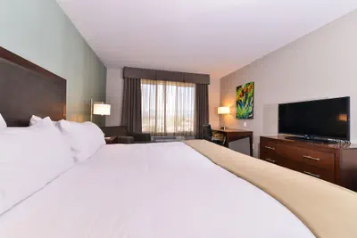 Photo 5 - Holiday Inn Express & Suites Indio - Coachella Valley by IHG