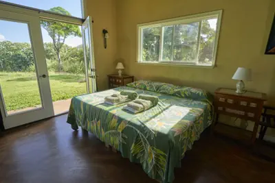 Photo 5 - Kalani Oceanside Retreat