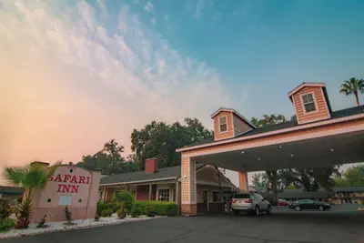 Photo 2 - Safari Inn - Chico