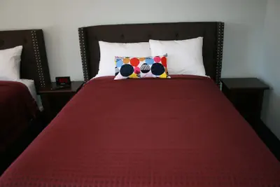 Photo 5 - The New Star Motel Experience