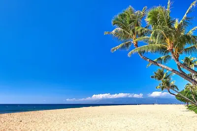 Photo 2 - Kaanapali Shores Resort by KBM