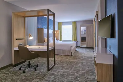 Photo 5 - SpringHill Suites by Marriott Detroit Dearborn