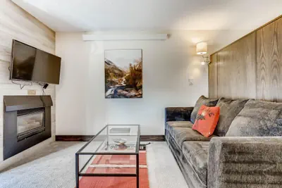 Photo 2 - Lift House Lodge, Pet Friendly, Premium Studio Condo
