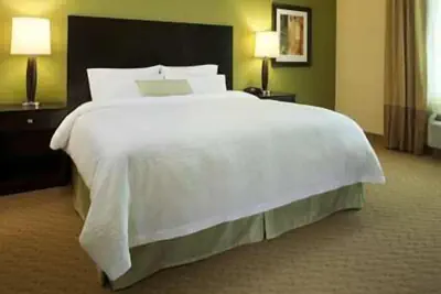 Photo 5 - Hampton Inn Kenedy