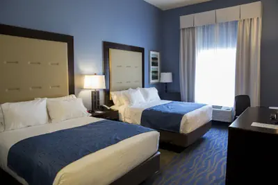 Photo 3 - Holiday Inn Express & Suites Edwardsville by IHG