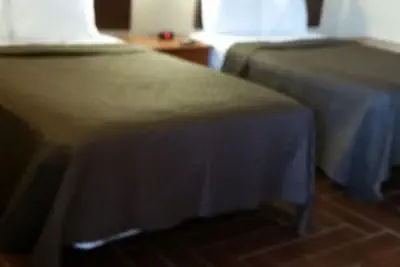 Photo 4 - Budget Lodge of Mount Dora