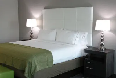 Photo 3 - Holiday Inn Covington by IHG