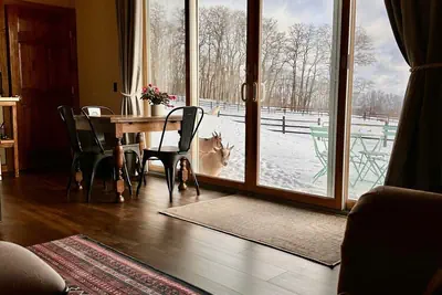 Photo 4 - Letchworth Farm Guesthouses