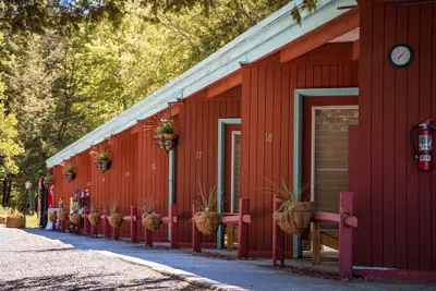 Photo 4 - Motel Long Lake and Cottages