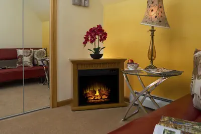 Photo 3 - Cherry Valley Manor Luxury Bed and Breakfast