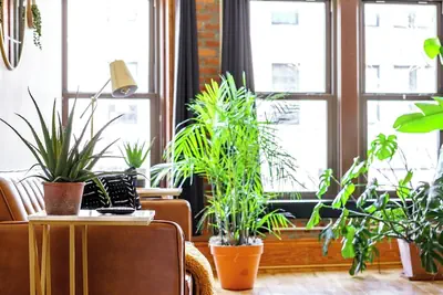 Photo 2 - Jungle House Luxury Lofts – Short North High Street