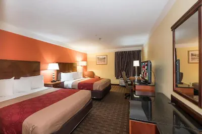 Photo 4 - MY HOME & SUITES MADISON