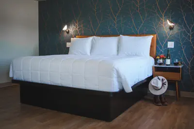 Photo 2 - City Center Motel